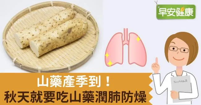 山藥產季到！秋天就要吃山藥潤肺防燥