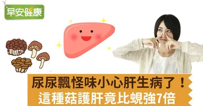尿尿飄怪味小心肝生病了！這種菇護肝竟比蜆強7倍