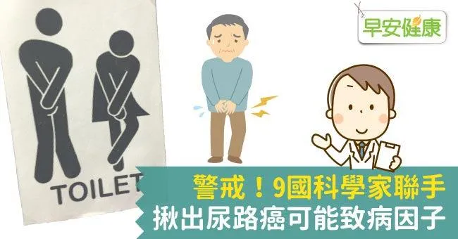 警戒！9國科學家聯手揪出尿路癌可能致病因子