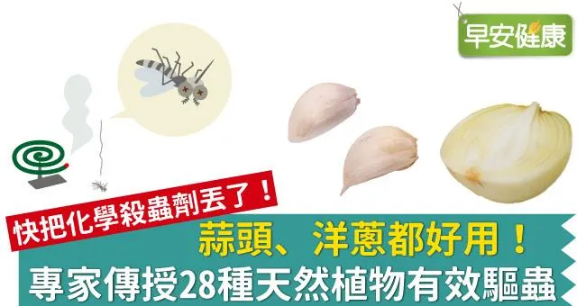 蒜頭、洋蔥都好用！專家傳授28種天然植物有效驅蟲