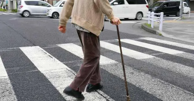 營養攝取與骨骼肌健康