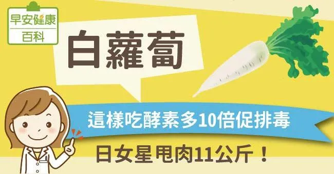 白蘿蔔：這樣吃酵素多10倍促排毒，日女星甩肉11公斤！
