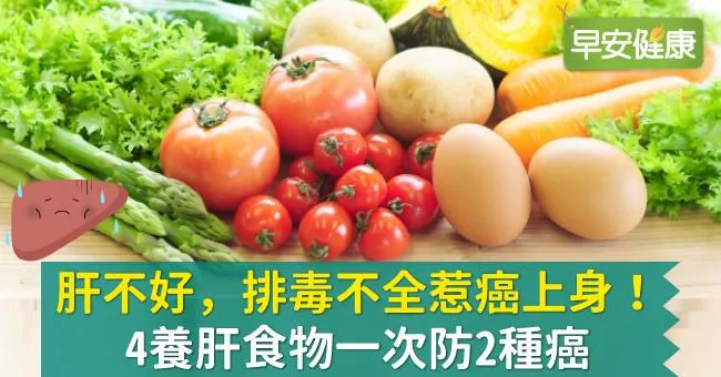 肝不好，排毒不全惹癌上身！4養肝食物一次防2種癌