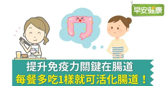 提升免疫力關鍵在腸道，每餐多吃1樣就可活化腸道！