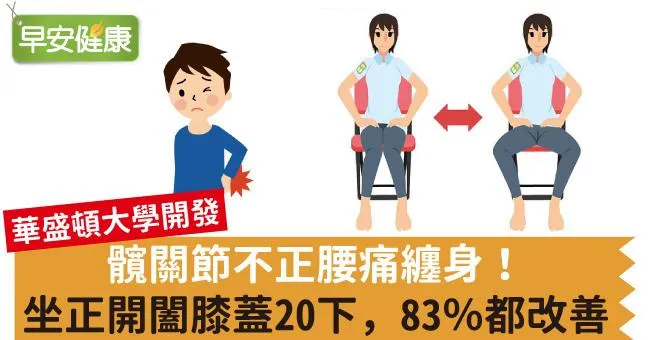 髖關節不正腰痛纏身！坐正開闔膝蓋20下，83％都改善