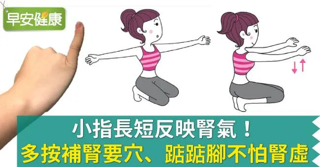 小指長短反映腎氣！多按補腎要穴、踮踮腳不怕腎虛