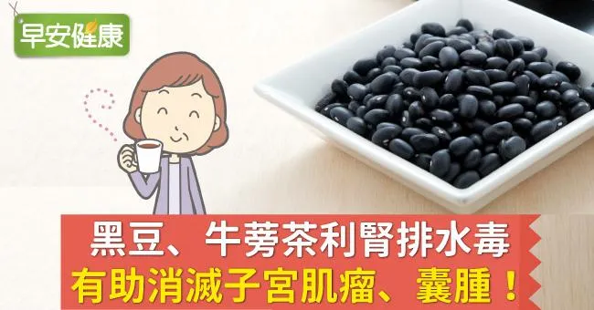 黑豆、牛蒡茶利腎排水毒，有助消滅子宮肌瘤、囊腫！