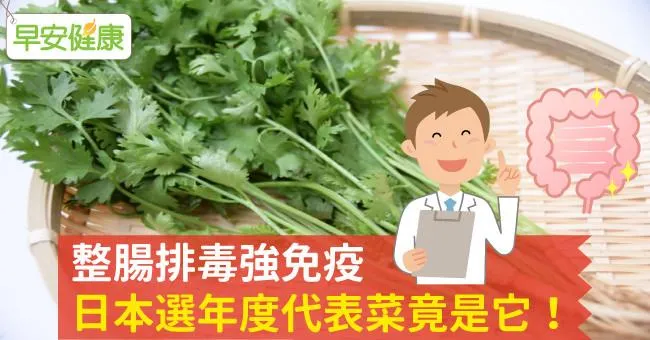 整腸排毒強免疫，日本選年度代表菜竟是它！