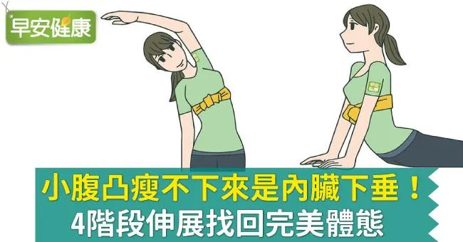 小腹凸瘦不下來是內臟下垂！4階段伸展找回完美體態