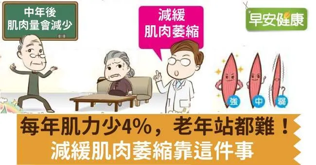 每年肌力少4％，老年站都難！減緩肌肉萎縮靠這件事