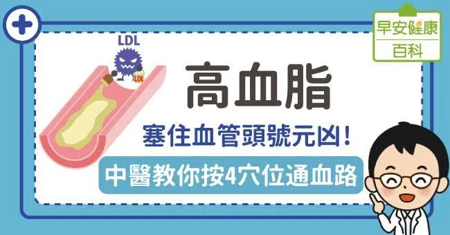 高血脂：塞住血管頭號元凶！中醫教你按4穴位通血路