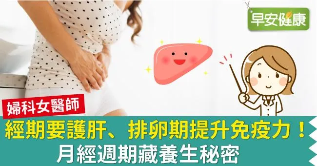 經期要護肝、排卵期提升免疫力！月經週期藏養生秘密