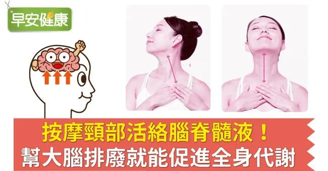 按摩頸部活絡腦脊髓液！幫大腦排廢就能促進全身代謝