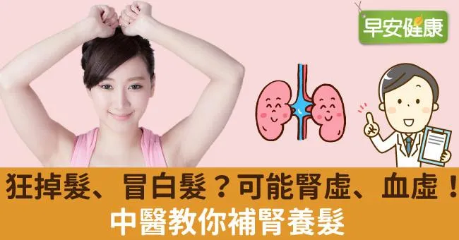 狂掉髮、冒白髮？可能腎虛、血虛！中醫教你補腎養髮