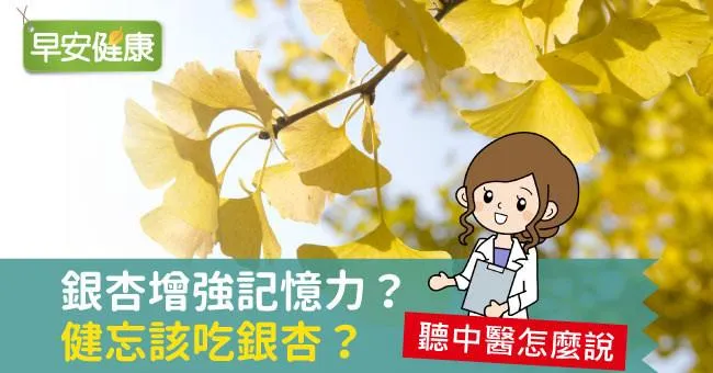 銀杏增強記憶力？健忘該吃銀杏？聽中醫怎麼說