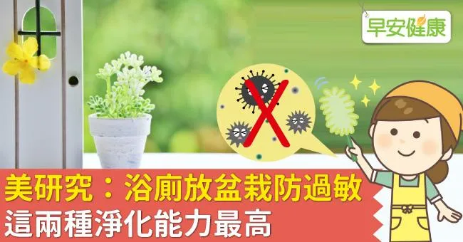 美研究：浴廁放盆栽防過敏，這兩種淨化能力最高