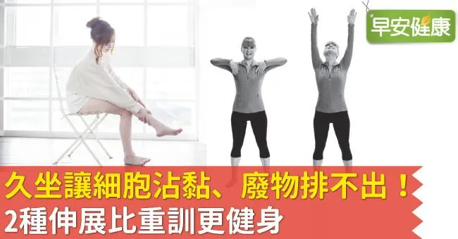 久坐讓細胞沾黏、廢物排不出！2種伸展比重訓更健身