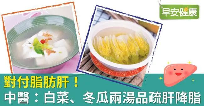 對付脂肪肝！中醫：白菜、冬瓜兩湯品疏肝降脂