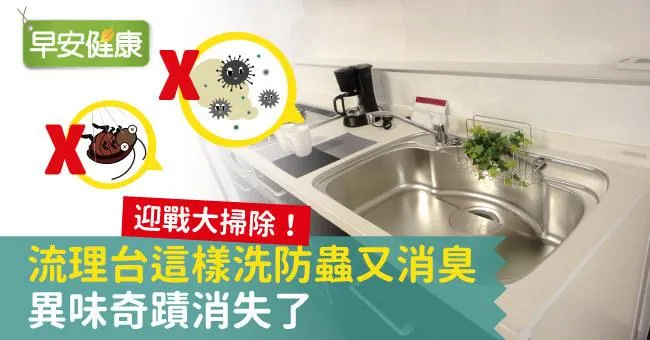 迎戰大掃除！流理台這樣洗防蟲又消臭、異味奇蹟消失了