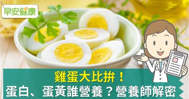 雞蛋大比拚！蛋白、蛋黃誰營養？營養師解密