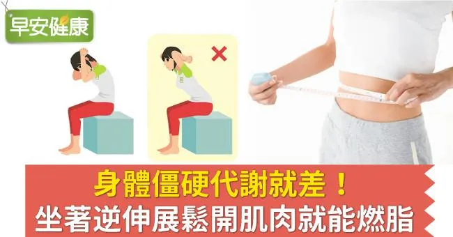 身體僵硬代謝就差！坐著逆伸展鬆開肌肉就能燃脂