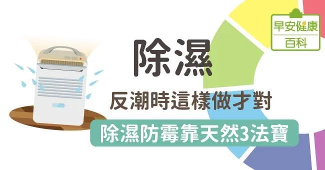 除濕：反潮時這樣做才對！除濕防霉靠天然3法寶