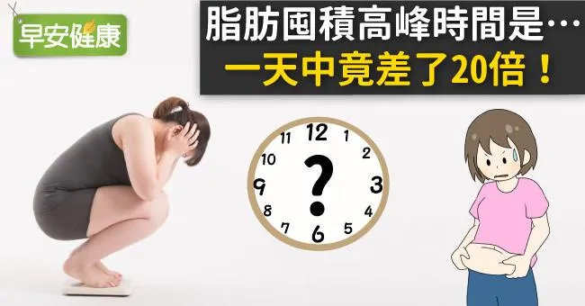 脂肪囤積高峰時間是…一天中竟差了20倍！