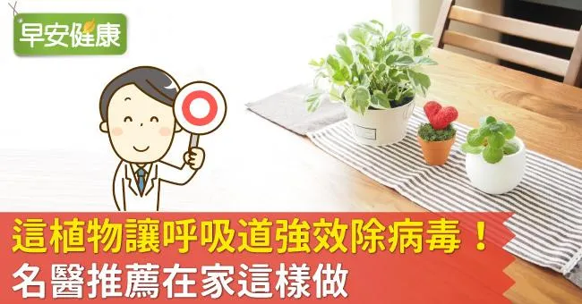 這植物讓呼吸道強效除病毒！名醫推薦在家這樣做