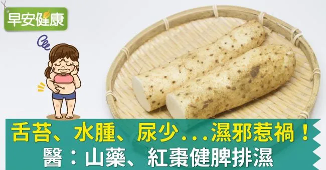 舌苔、水腫、尿少...濕邪惹禍！醫：山藥、紅棗健脾排濕