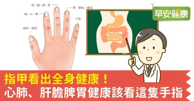 指甲看出全身健康！心肺、肝膽脾胃健康該看這隻手指