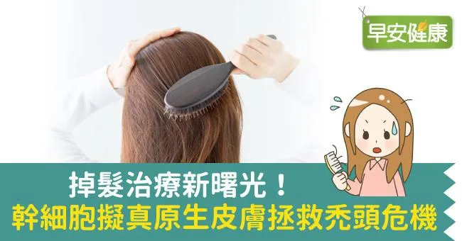 掉髮治療新曙光！幹細胞擬真原生皮膚拯救禿頭危機
