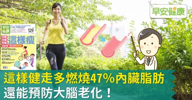 這樣健走多燃燒47％內臟脂肪，還能預防大腦老化！
