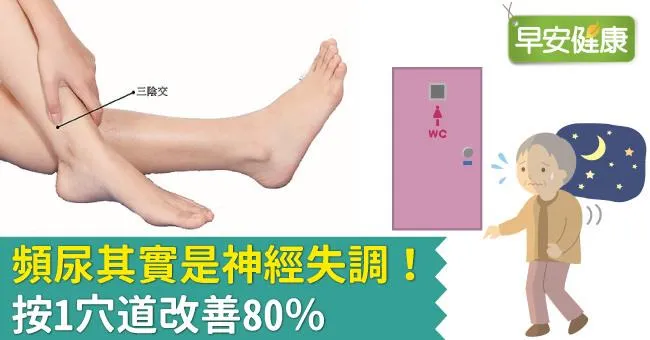 頻尿其實是神經失調！按1穴道80％成功改善頻尿