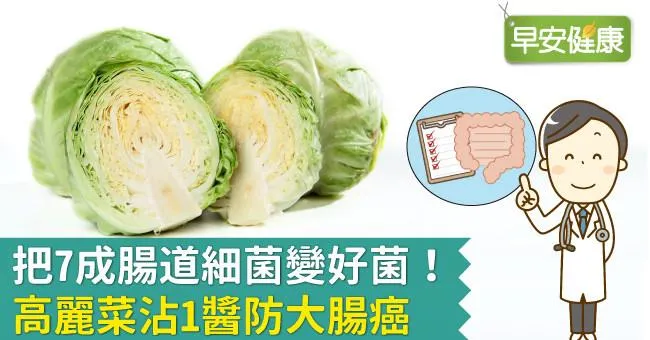 把7成腸道細菌變好菌！高麗菜沾1醬防大腸癌