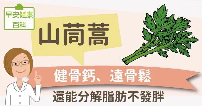 山茼蒿：健骨鈣、遠骨鬆，還能分解脂肪不發胖！