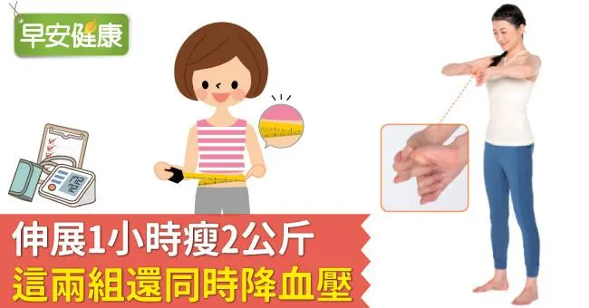 伸展1小時瘦2公斤，這兩組還同時降血壓