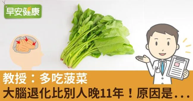 教授：多吃菠菜，大腦退化比別人晚11年！原因是...