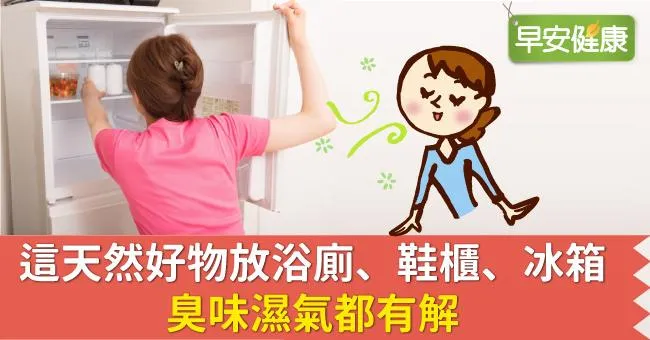 這天然好物放浴廁、鞋櫃、冰箱，臭味濕氣都有解