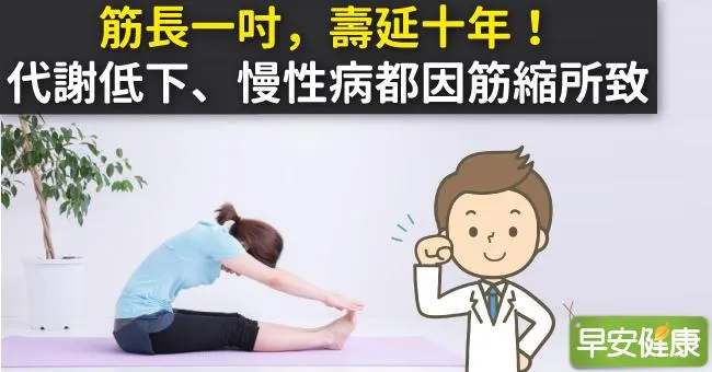 筋長一吋，壽延十年！代謝低下、慢性病都因筋縮所致