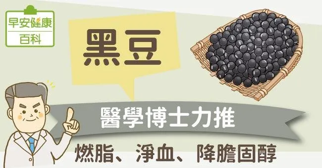 黑豆：醫學博士力推！燃脂、淨血、降膽固醇