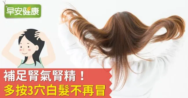 補足腎氣腎精！多按3穴白髮不再冒