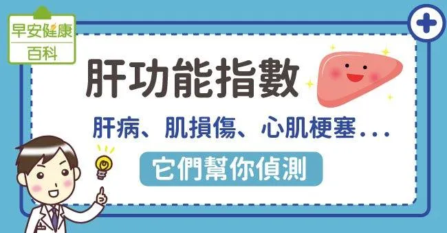 肝功能指數：肝病、肌損傷、心肌梗塞...它們幫你偵測