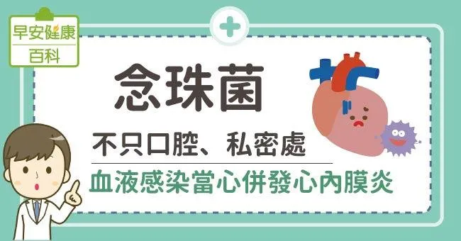 念珠菌：不只口腔、私密處！血液感染當心併發心內膜炎