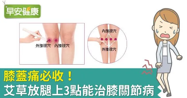 膝蓋痛必收！艾草放腿上3點能治膝關節病