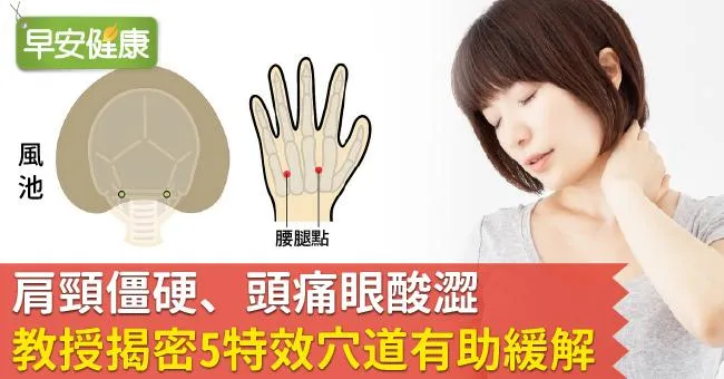 肩頸僵硬、頭痛眼酸澀，教授揭密5特效穴道有助緩解