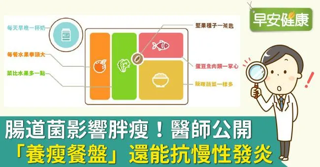 腸道菌影響胖瘦！醫師公開「養瘦餐盤」還能抗慢性發炎
