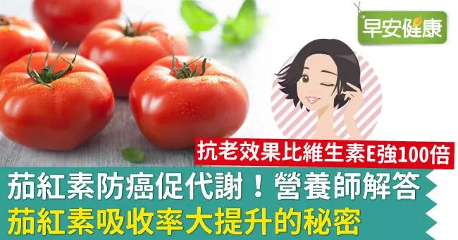 茄紅素防癌促代謝！營養師解答茄紅素吸收率大提升的秘密