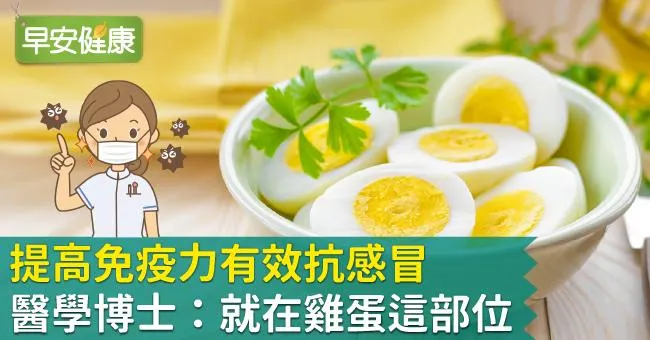 提高免疫力有效抗感冒，醫學博士：就在雞蛋這部位！