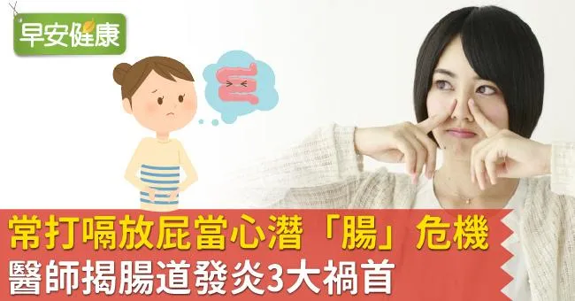 常打嗝放屁當心潛「腸」危機！醫師揭腸道發炎3大禍首