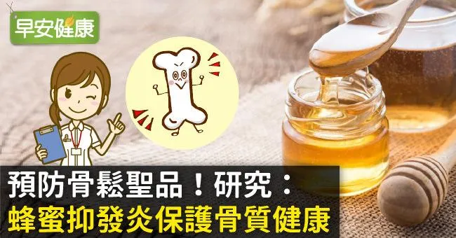 預防骨鬆聖品！研究：蜂蜜抑發炎保護骨質健康